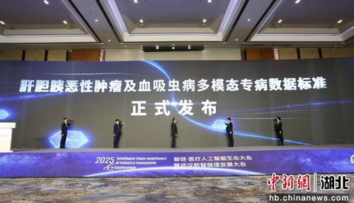 2025智鏈醫(yī)療人工智能生態(tài)大會啟幕，智能技術(shù)驅(qū)動醫(yī)療健康新未來